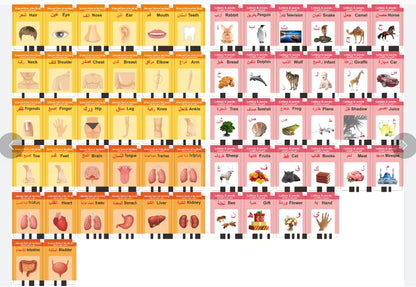 Lecteur de Cartes Éducatives en Arabe