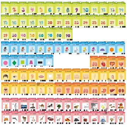 Lecteur de Cartes Éducatives en Arabe