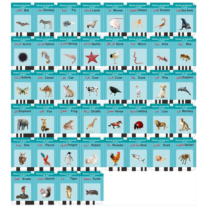 Lecteur de Cartes Éducatives en Arabe